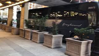 Greyhound Lines 2020 Prevost X3-45 #86973 On Schedule 388