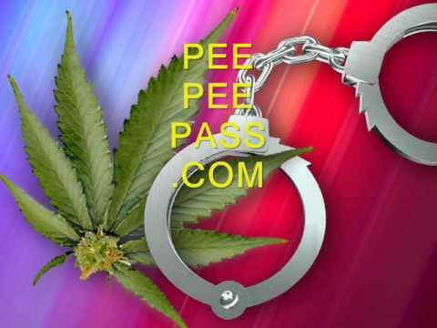 Pass Your Urine Pee Drug Test for Weed and Drugs Every Single Time PeePeePass.com - YouTube