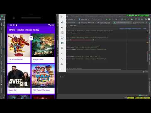 【FLUTTER ANDROID STUDIO and IOS】base notification CHAT