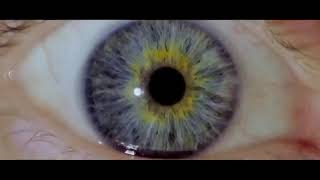 I Origins 1 (türkçe altyazılı)