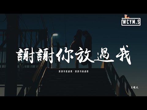 王理文 - 謝謝你放過我「謝謝你愛過我，謝謝你放過我」【動態歌詞/pīn yīn gē cí】
