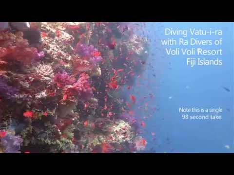 Yellow Mellow Single Take with Ra Divers, Voli Voli Resort, Fiji Islands