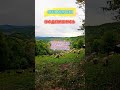 Омар Хайям однажды сказал такую мудрость