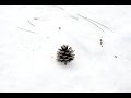【Relaxation Jazz Music】とある山里の風景 【リラックス ジャズ ＢＧＭ】