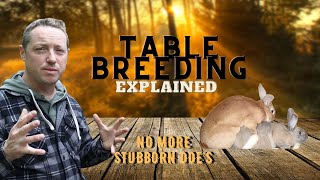 TABLE BREEDING RABBITS / DEMONSTRATION/ CURE FOR STUBBORN DOE'S