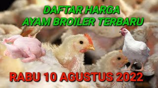 Harga Ayam Broiler Rabu 10 Agustus 2022. 