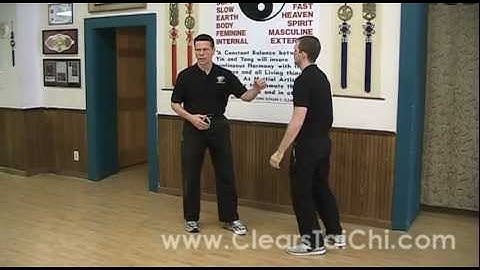 Combat Tai Chi Chuan: Parry & Punch Application