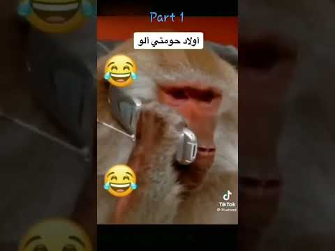 أولاد حومتي الو