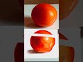 "How to Paint a Realistic Tomato in Photoshop | Digital Speed Painting Tutorial" @ganarajaarts