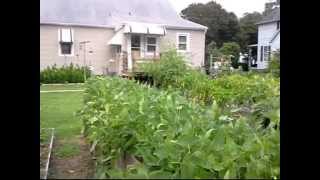 Eastern Shore properties for Sale