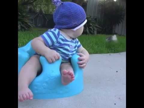 camera iphone 8 plus apk Rabbit Steals A Baby's Biscuit - Vine