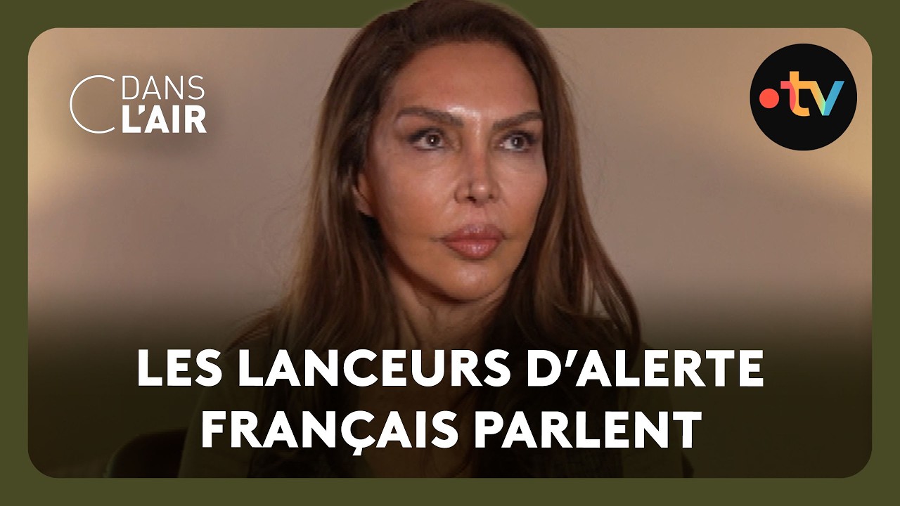 L'affaire Epstein en France