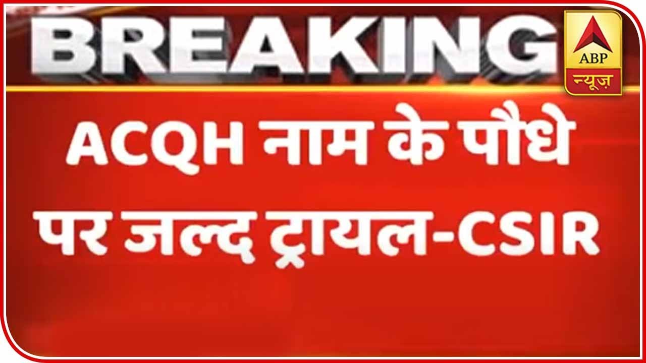 CSIR To Start Testing On Extracts Of ACQH Plant For Coronavirus Drug | ABP News