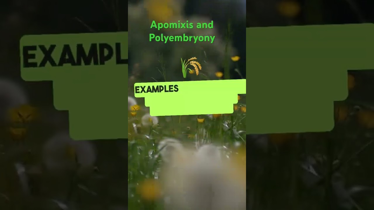 Nature’s shortcut : Chasmogamous and Cleistogamous flowers