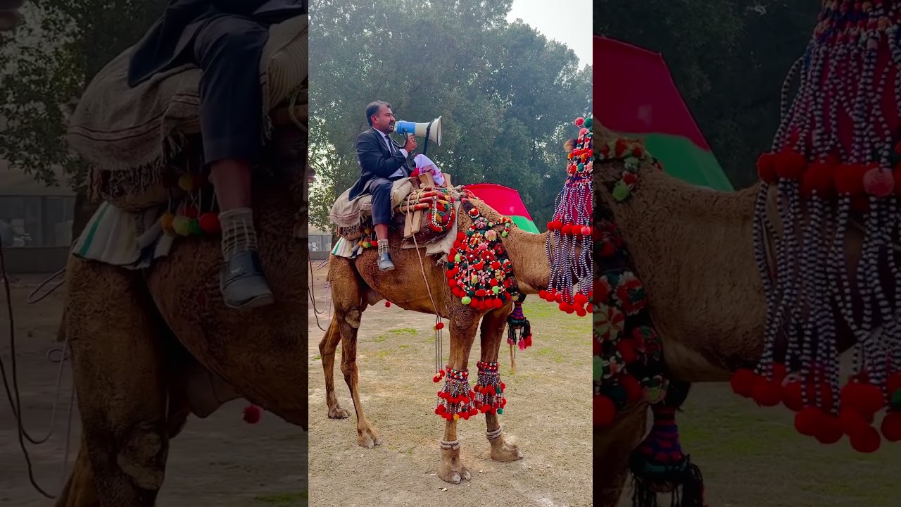 MQM candidate Election Campaign