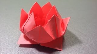 Оригами лилия. Сделать водяную лилию. Origami lily. Make a water lily.