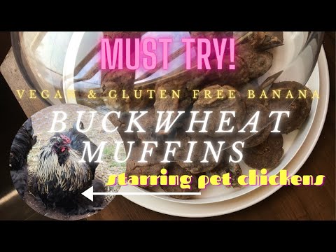 Video: Buckwheat Muffins Nrog Cov Kua Txab