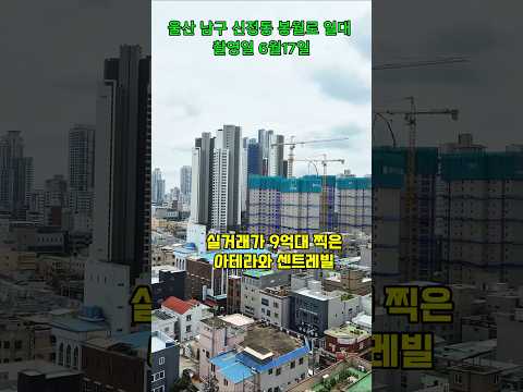 울산 남구 신정동 아파트 아파트