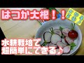 【水耕栽培大学】はつか大根育てて食べてみた！！小さい芽は最後まで太らない…