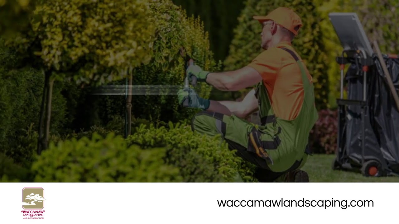 Waccamaw Landscaping & Construction Inc Pawleys Island South Carolina 29585