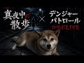 【心霊】真夜中の散歩×デンジャーパトロールコラボLIVE！