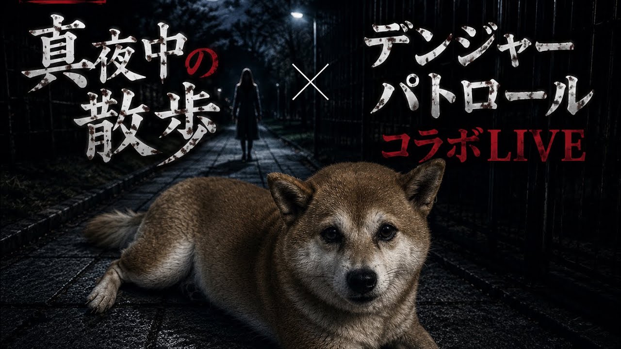 【心霊】真夜中の散歩×デンジャーパトロールコラボLIVE！