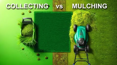 How Mulching Mowers Work Compared to Collecting Lawnmowers (by Craig Kirkman)