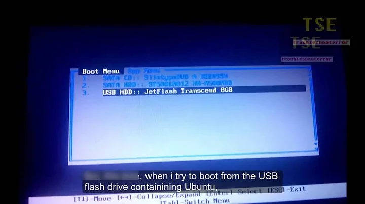 Error loading Operating system Ubuntu from USB Flash drive after installing Windows