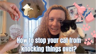 Stop Cats Knocking Things Over FOREVER! 🐾 Cat Hacks 🐾