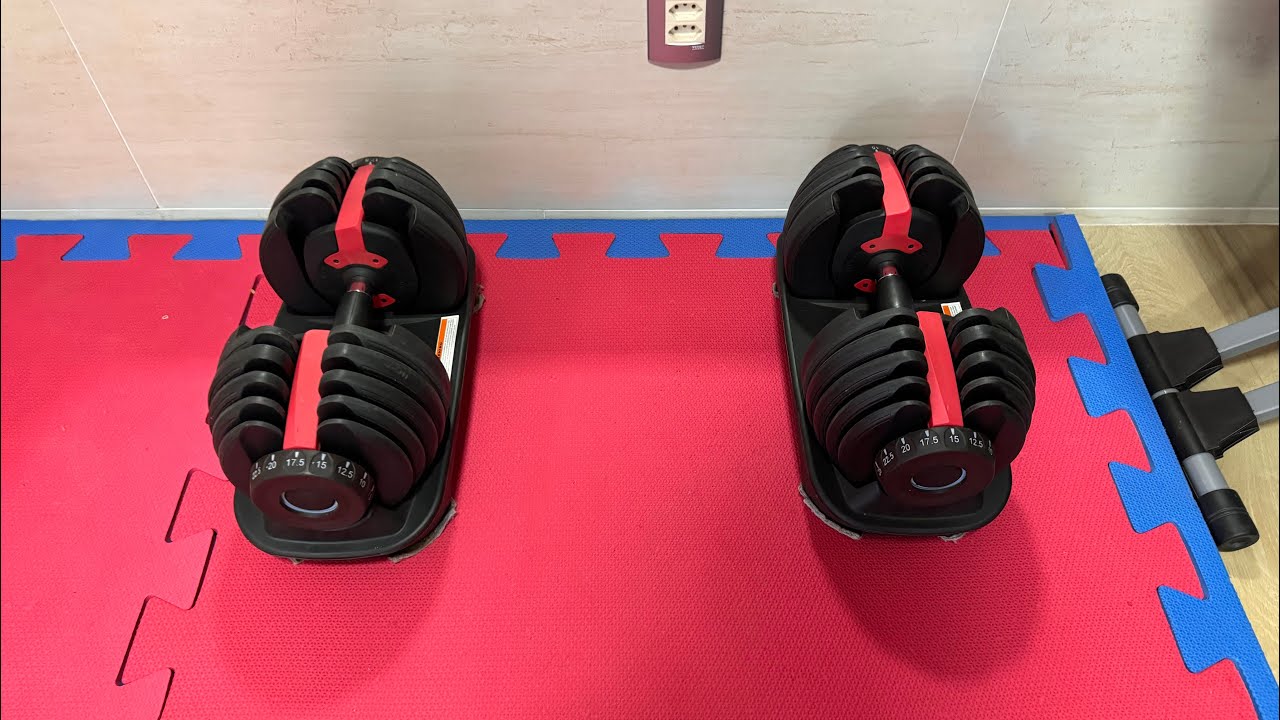 Dumbbell regulável (Bowflex SelectTech 552) 2 a 24kg o que você
