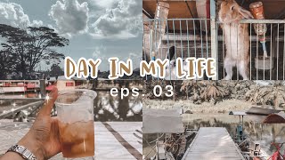 Day In My Life|Edisi Pulang Kampung|Andalus Wisata Keluarga (mini zoo, atv, ikan koi, dll)| Ind ??