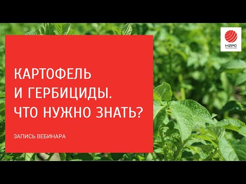 Картофель и гербициды. Что надо знать? Отвечаем на вопросы.