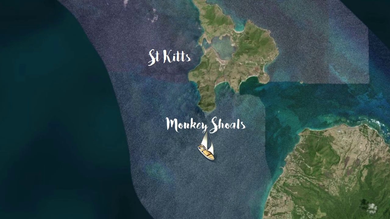 ST KITTS Monkey Shoals YouTube st-kitts-monkey-shoals-youtube