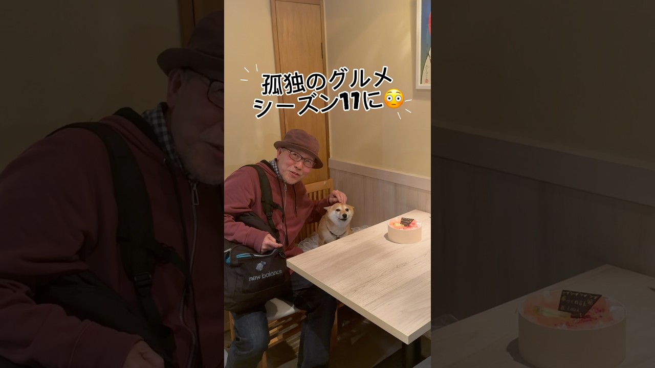 孤独のグルメと、つくね店長がまさかの😳 #shorts #dog #孤独のグルメ