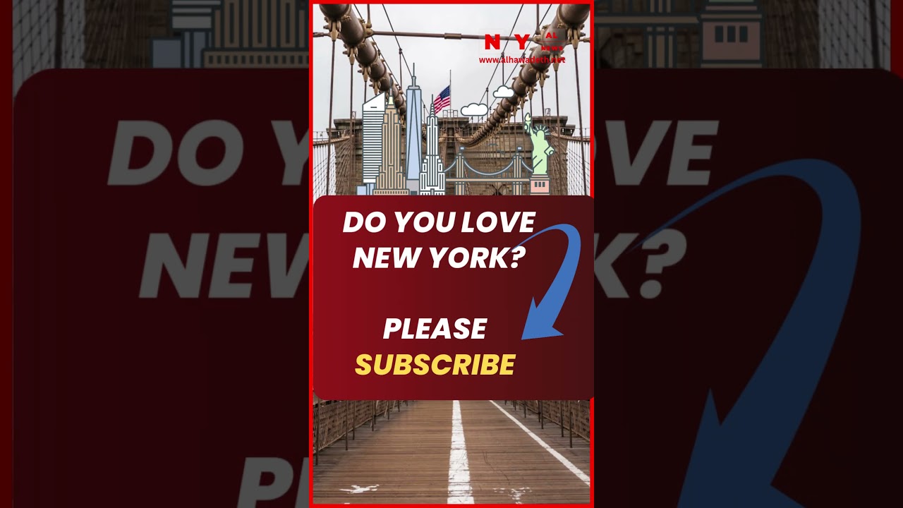 A Green Dream: New Additions Transform Brooklyn Bridge Park | 