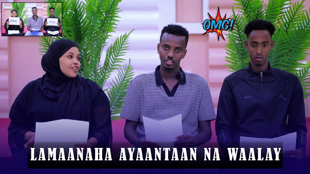 LAMANAHA CUSUB AYANTAN HEYSTO BARAHA BULDHADA  BOSTEEYO IYO COSEY MAXEY KA DHAHEEN XARIIRKOODA CUSUB