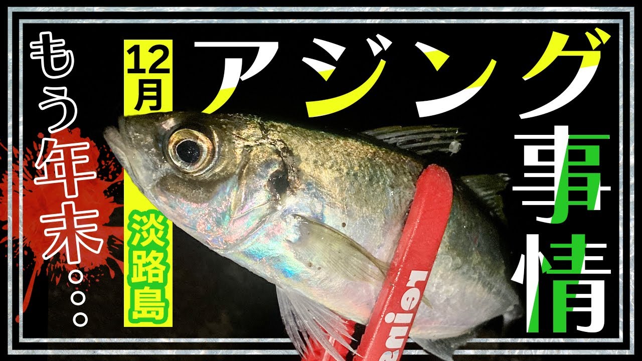 淡路島 12月アジングはいかが 開拓 調査でなんとか尺クラスを捕獲しました Youtube