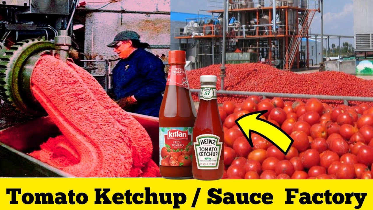 Tomato Ketchup ഫാക്ടറിയിൽ ഉണ്ടാക്കുന്നത് കാണാം Tomato Sauce