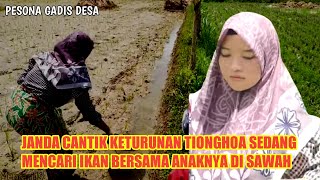 Janda Cantik Keturunan Tionghoa Sedang Mencari Ikan Bersama Anaknya Di Sawah