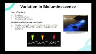 Group 16: BI376 Assignment Part 1