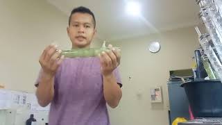 Cara Mudah Mencuci Alat Extraksi