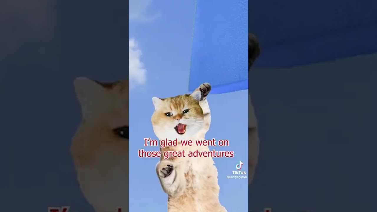 Cat spaceship adventure (NOT MINE)