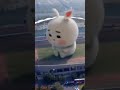 kartun rabbit ( tik tok )