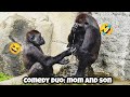 Mom and son always bring the laughs 😄母子倆總是笑料不斷#gorilla