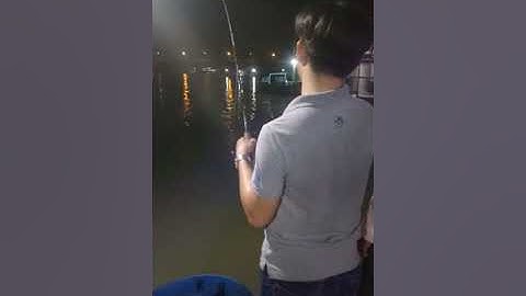 Câu cá ngát đầu to tại sông Hậu