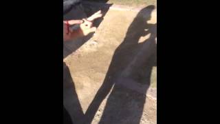 Eclipse Shadows