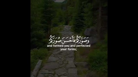 القارئ ياسر الدوسري سورة (التغابن)