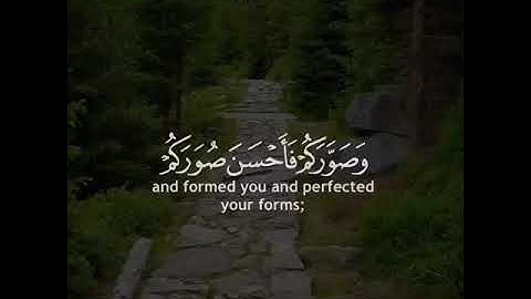 القارئ ياسر الدوسري سورة (التغابن)