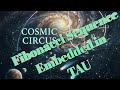 Fibonacci as part of the flow @CosmicCircus-k6j https://a.co/d/02QiCCi9