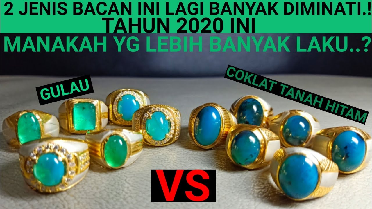 BACAN GULAU vs BACAN COKLAT TANAH HITAM 